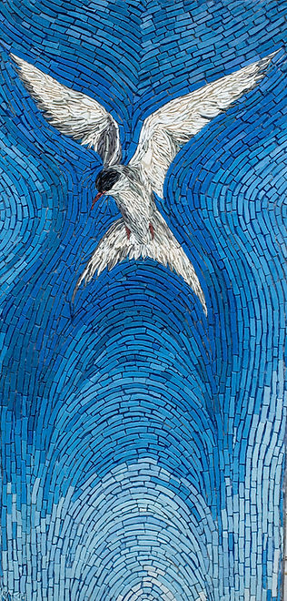 Arctic Tern 115x53 smalti.jpg