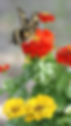 DSC03935.JPG