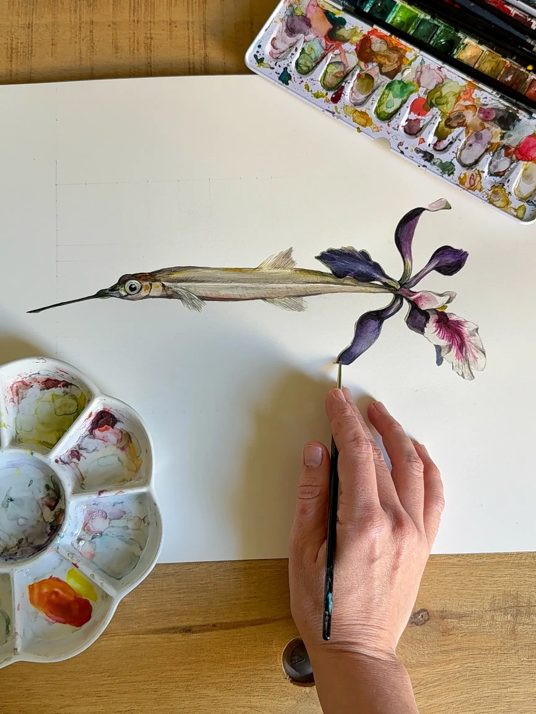 Pez aguja con aleta convertida en orquídea. Acuarela botánica. Pintada por sofía cristina jimenez para El espacio permanente.