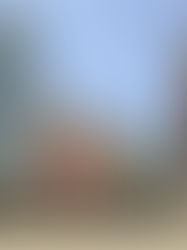 Museo Reina Sofia . arte surrealista Madrid