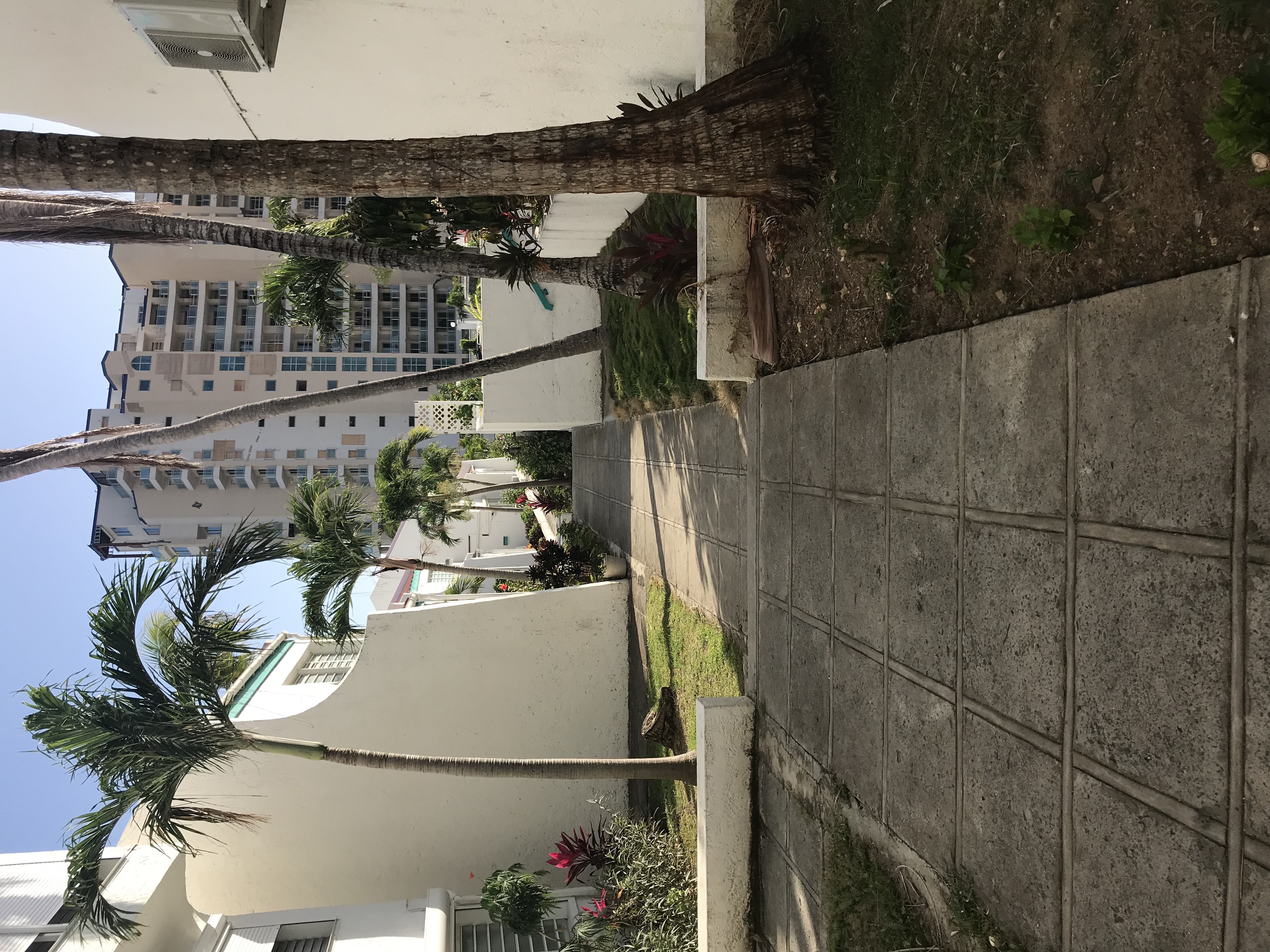 Tradewinds