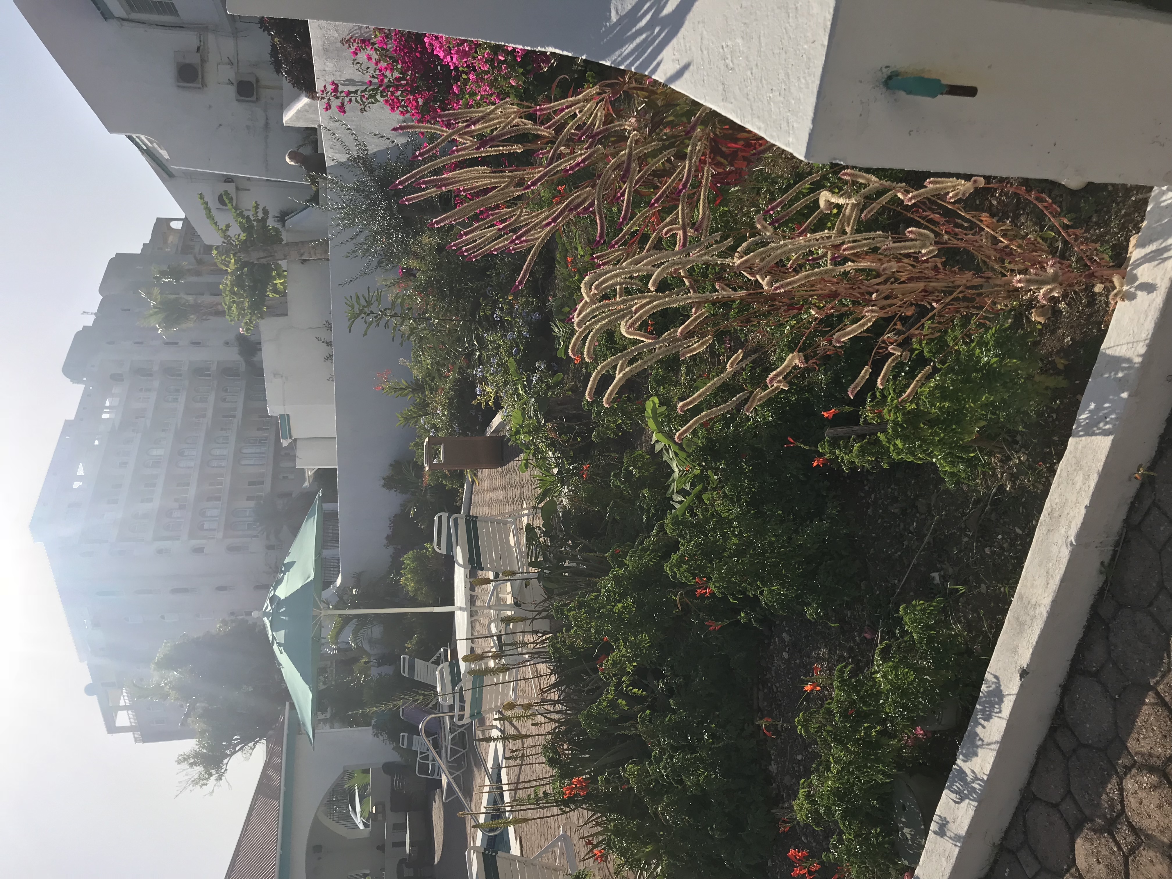 Tradewinds Pool