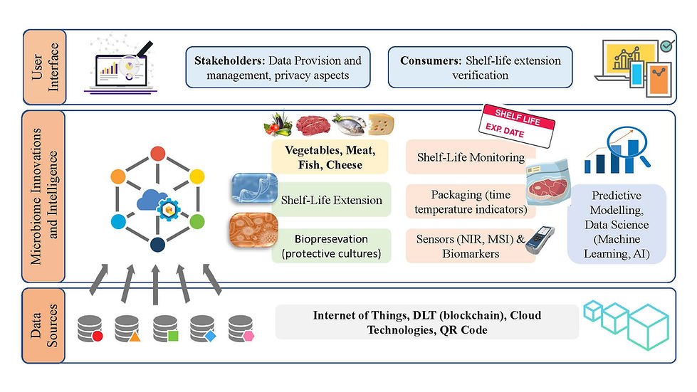 FoodGuard-Figure.pptx copy.jpg