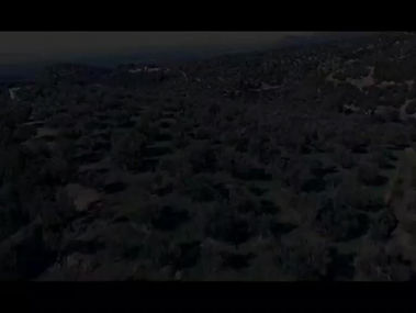 Από τη συλλογή του ελαιοκάρπου από τις καλλιεργούμενες εκτάσεις στους χώρους μεταποίησης (ελαιοτριβείο, συσκευαστήριο, κλπ.)