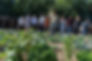 EASY GARDENING 2.jpg