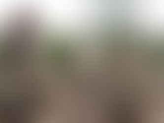 CAMBOYA - La tierra de los mil templos - Angkor