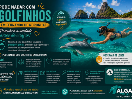 Golfinhos rotadores em seu habitat natural 
