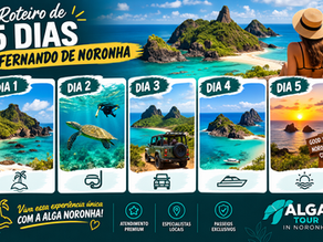 Roteiro 5 Dias Fernando de Noronha