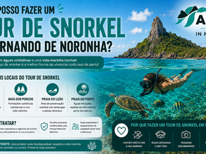 Onde posso fazer um tour de snorkel em Fernando de Noronha?