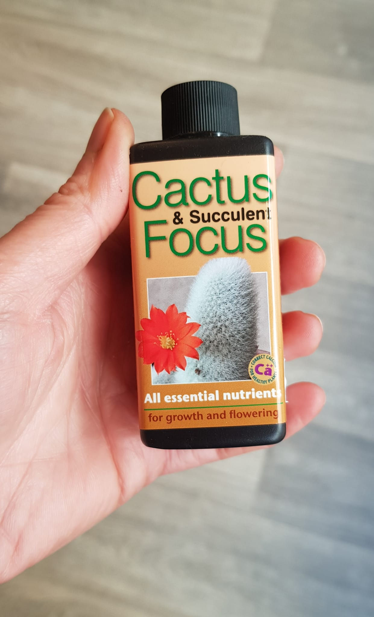 Cactus and Succulent Focus Fertiliser 100ml