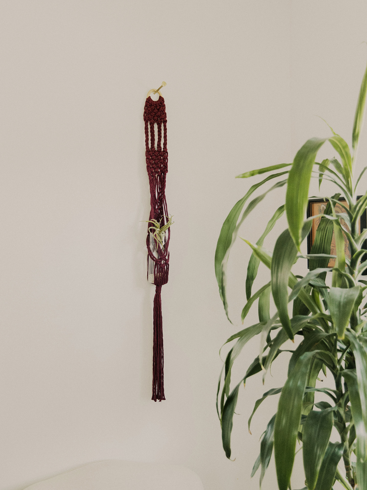 Handmade Maroon Macrame Wall Hanging/Plant Holder