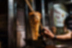 An arm moving to cut the kebab meat .jpg