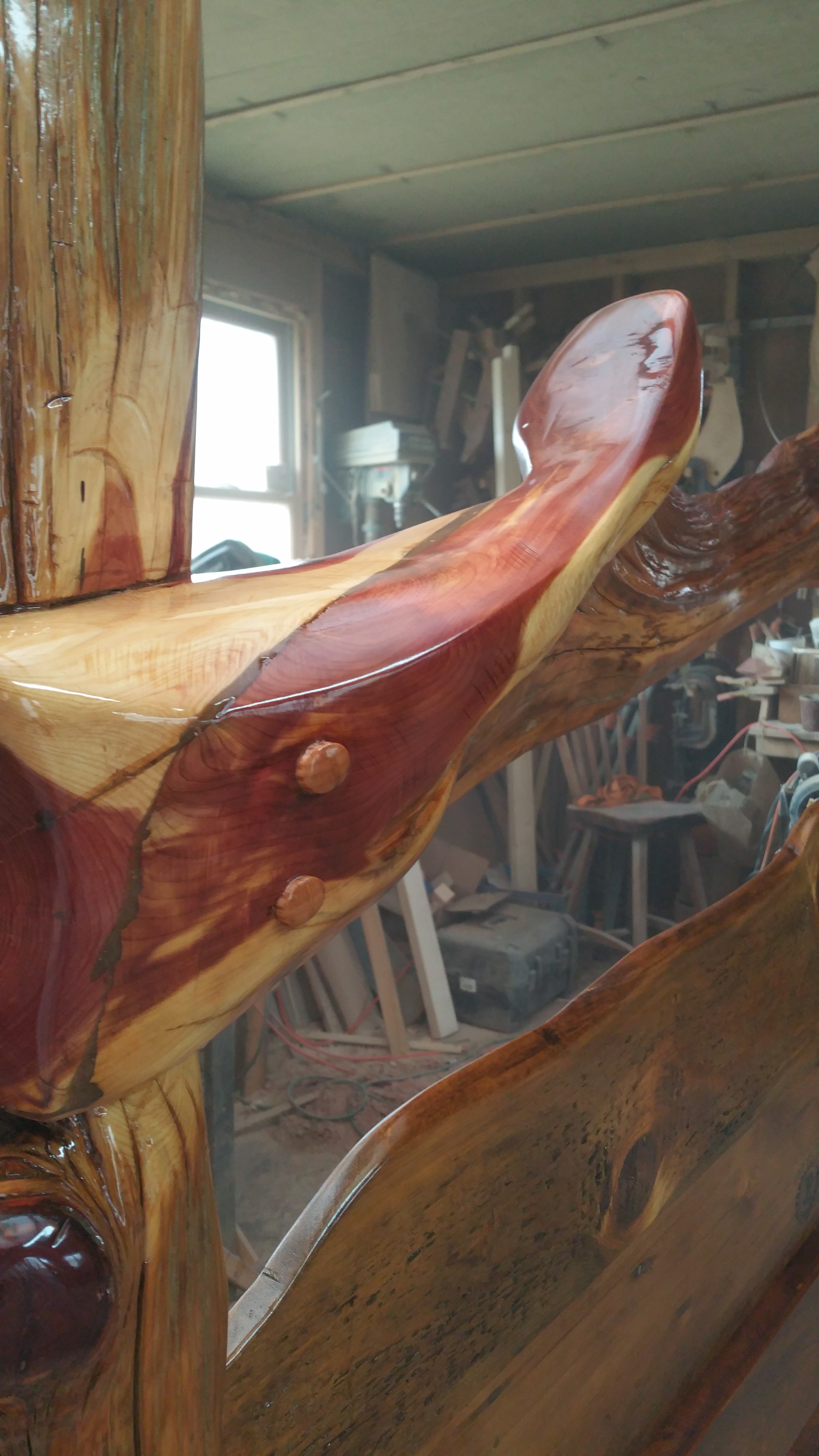 Eastern Red Cedar Tree bed