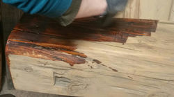 hand hewn beam getting oiled