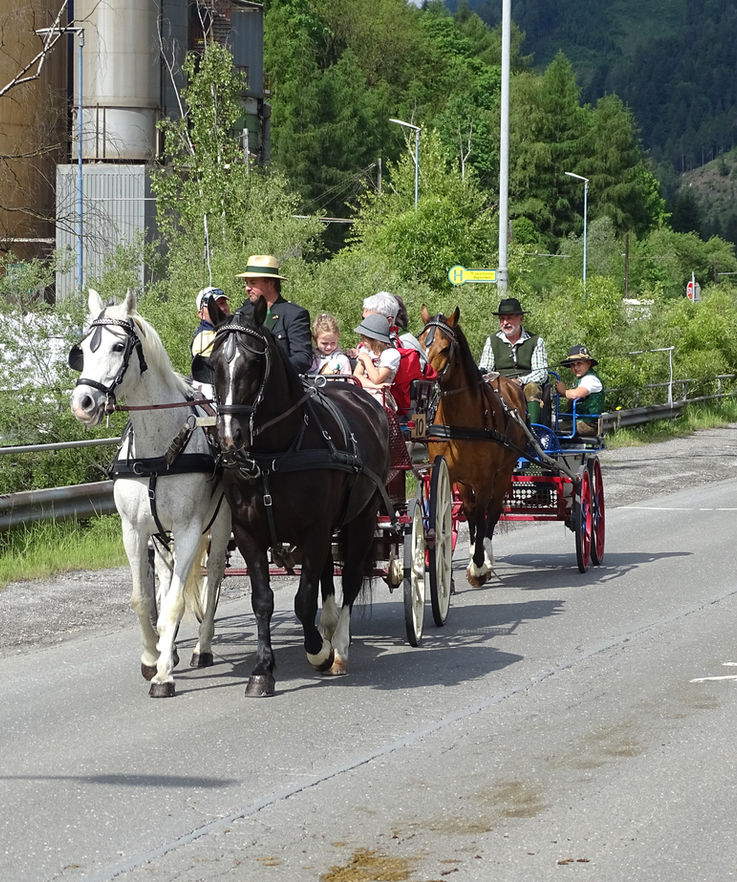 Impressionen Zugpferdetreffen 2024
📷 Ernst Grabmaier
