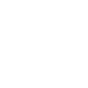 Dashfire logo