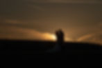 Sunset silhouette wedding portraits at Eastwood Hall