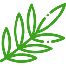 leaf (3).png
