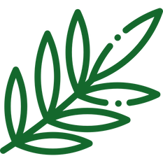 leaf (1).png