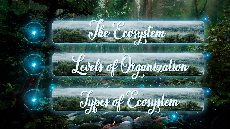 ecosystem 2