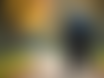 Empowering Independence for Individuals with Disabilities