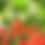 Thumbnail: Reah /Regenerate