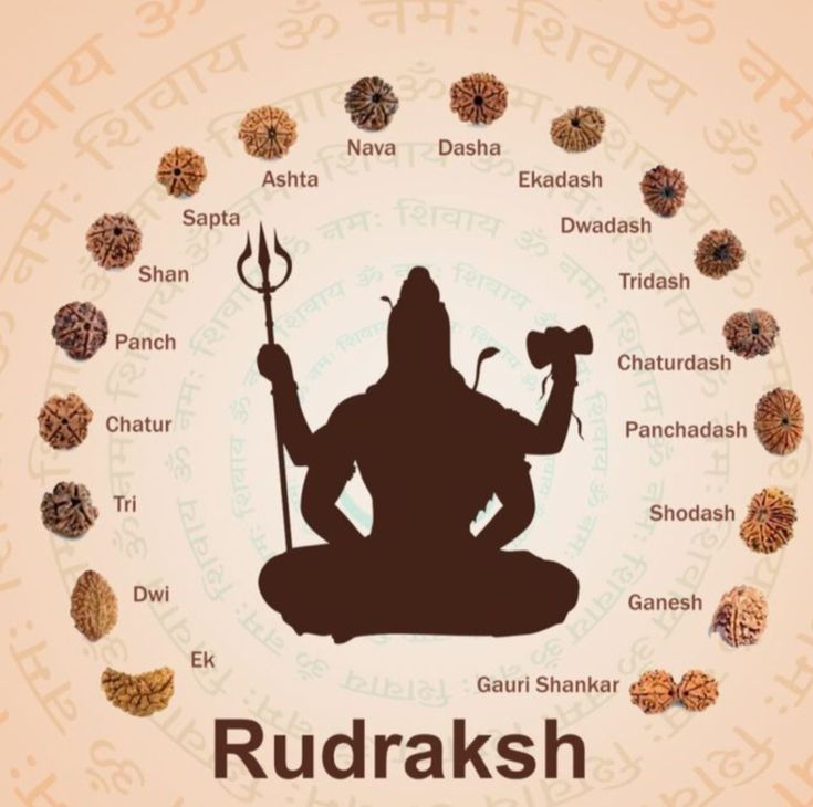 Thumbnail: 4 Mukhi Nepali Rudraksha