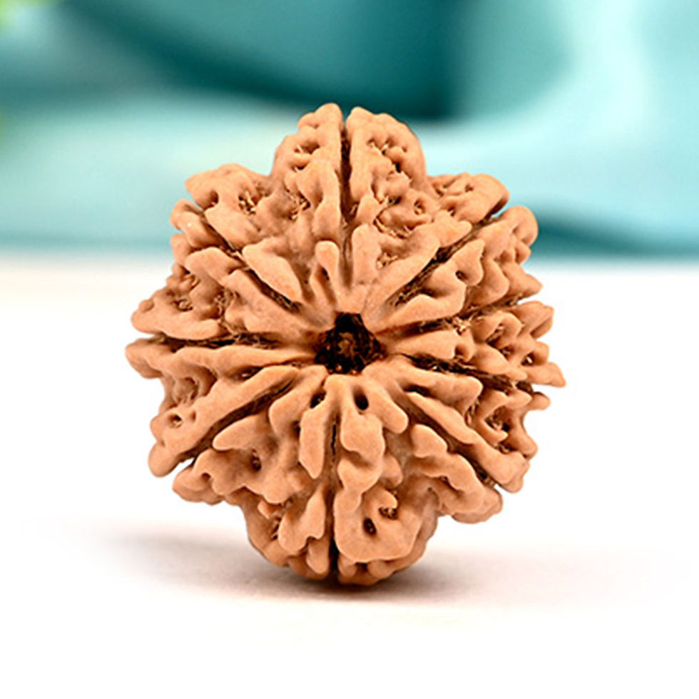 9 Mukhi Nepali Rudraksha – Durga Shakti & Protection