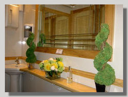 Toilet Trailer (honeywagon)