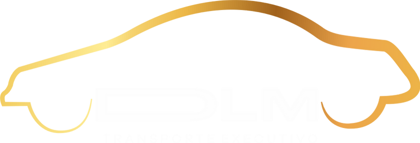 LOGO FINAL DLM FUNDO BRANCO.png
