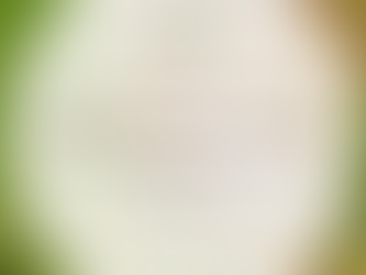 The Importance of Fall Lawn Care: Preparing for Winter