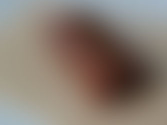 Gingerbread Caramels