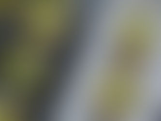 Kale & Goat Cheese Frittata Cups