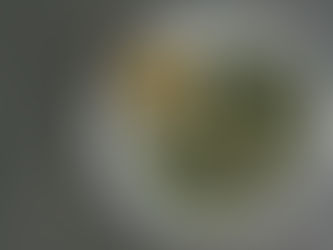 Grilled Garlic Scapes With Sun Dried Tomato Pesto