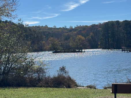 City of Mulberry, GA - FAQ! 