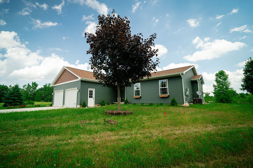 Maple Tree Installation