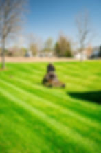 first mowing day (8 of 14).jpg