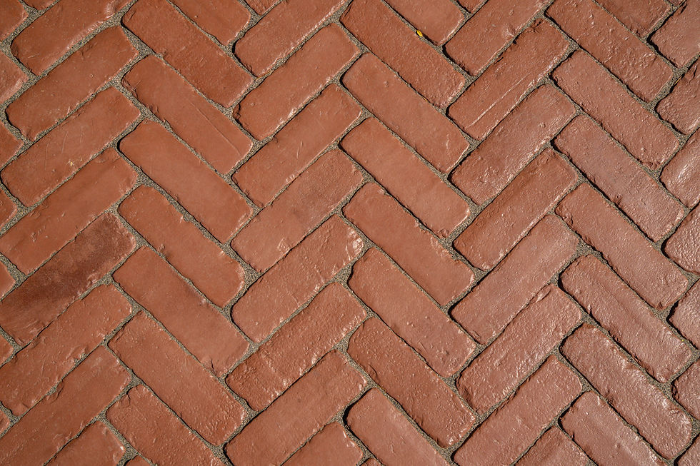 DSC00302.jpg