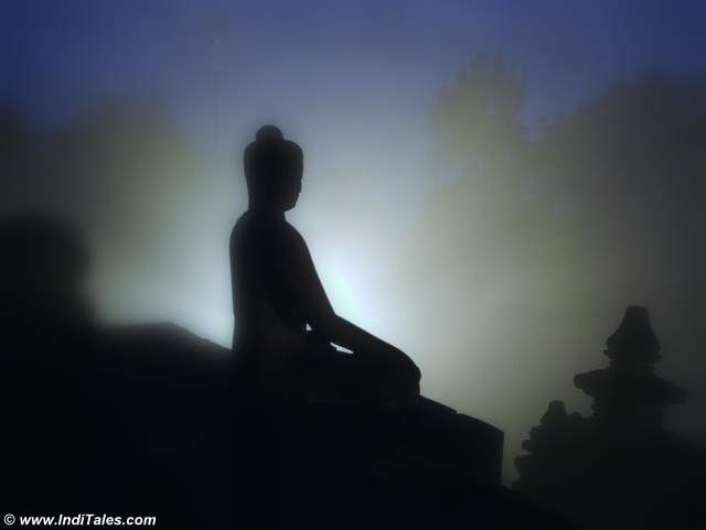 untitled image