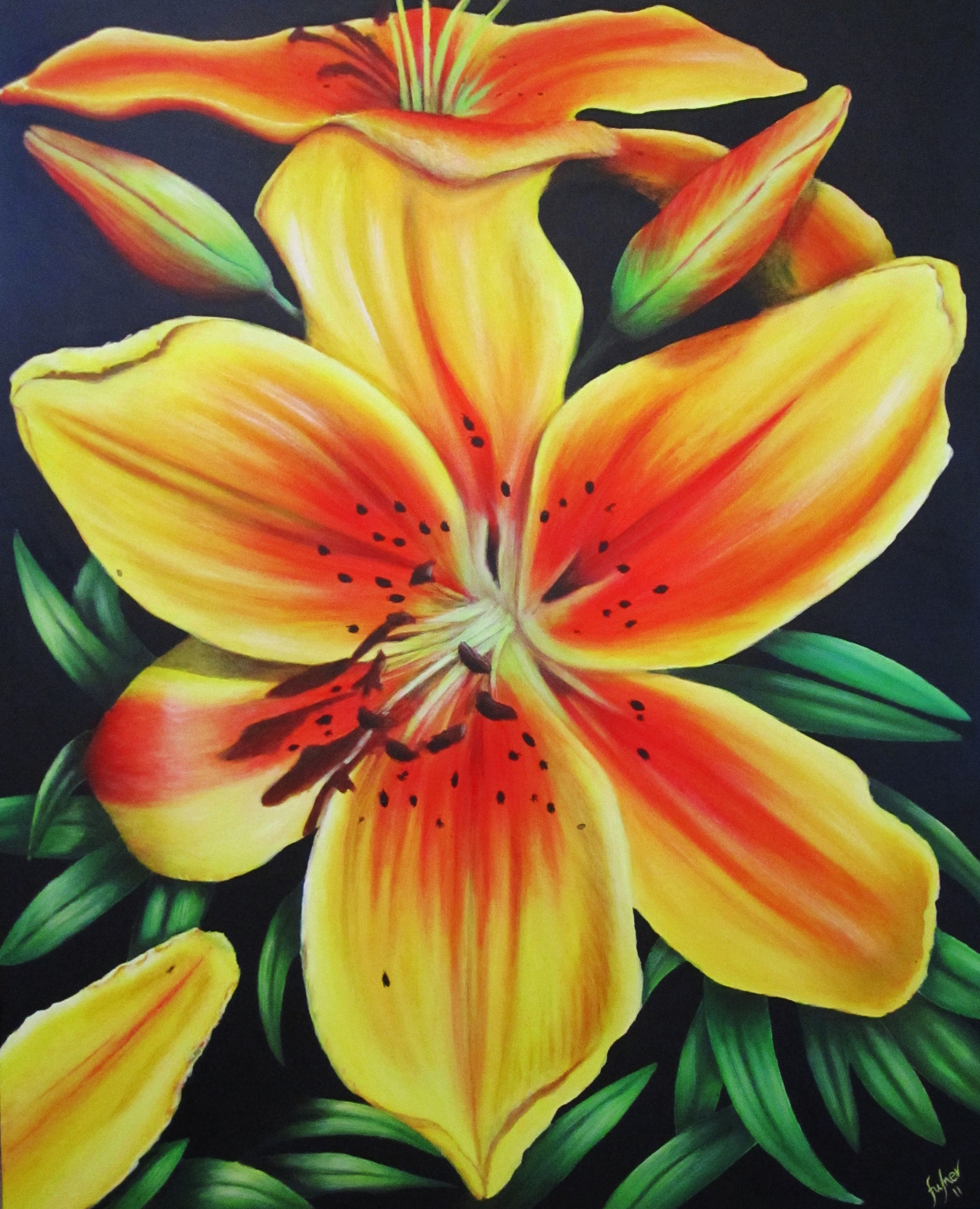 Jersey Lily