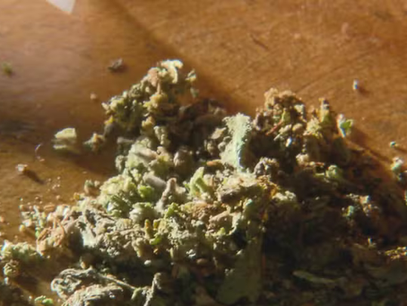 Supremo Define Novas Regras para Diferenciação entre Usuário e Traficante de Maconha até Decisão do Congresso