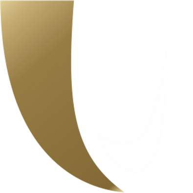 logo2 v.png