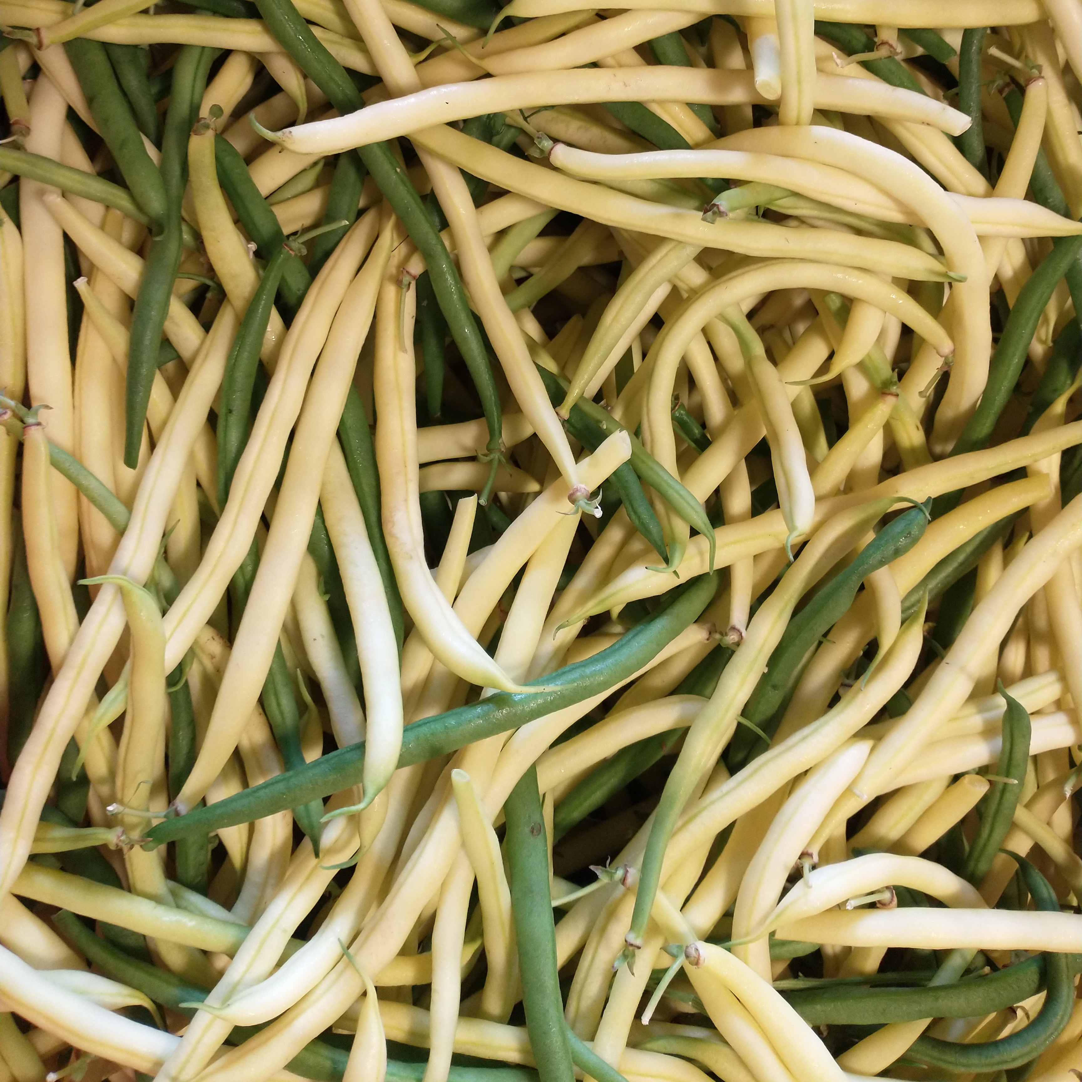 Order Online | Mysite 2/4