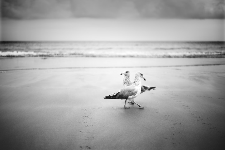untitled image