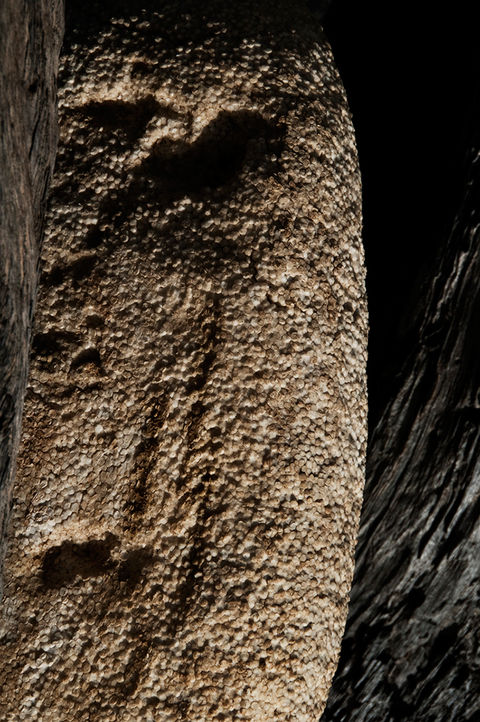 portrait photographique d'un bidon échoué dans une crique de Sardaigne