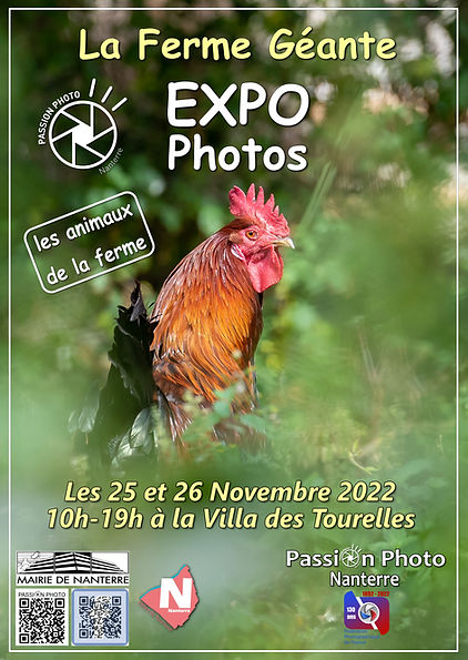affiche 5.jpg