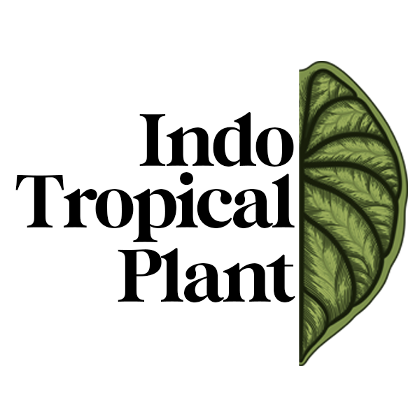 Indo Tropical Plant logo