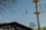 Kletterpark Zipline