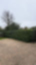 IMG_5178.jpeg