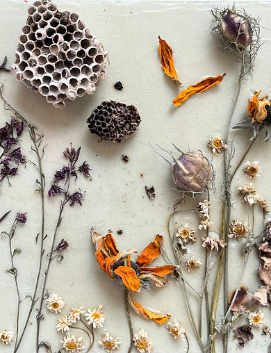 Fairytales are more than true (1).jpeg